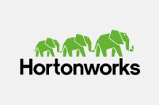Hortonworks Logo: DRIVEN Partner