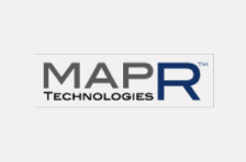 MAPR Logo: DRIVEN Partner